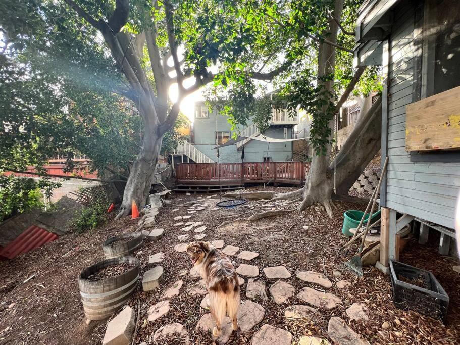 Central San Diego Lower Duplex, Huge Yard, Fenced Exteriér fotografie